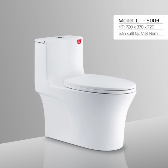  LT - 5003